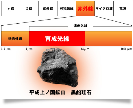 育成光線